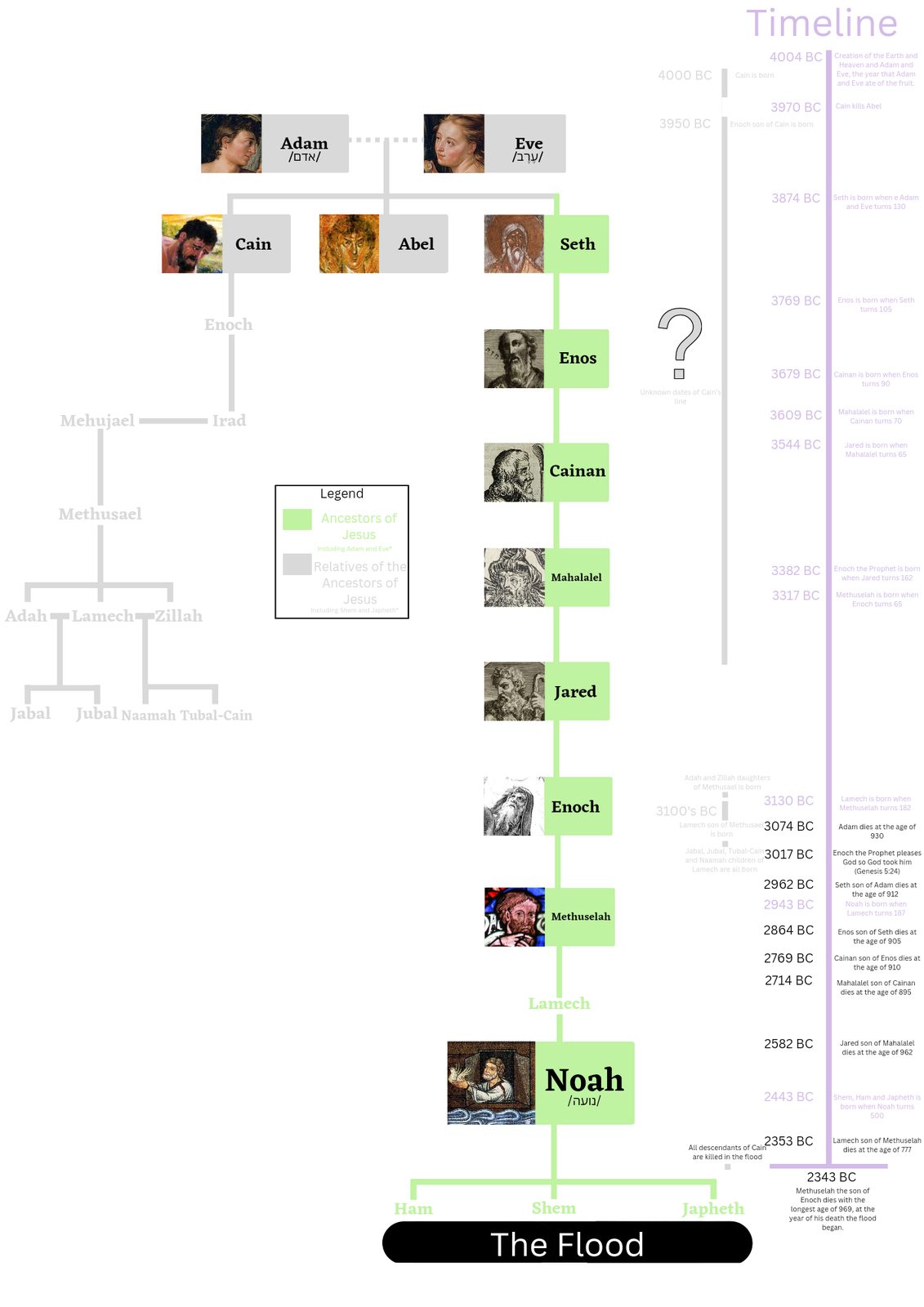 How to find distant relatives through genealogy forums and databases