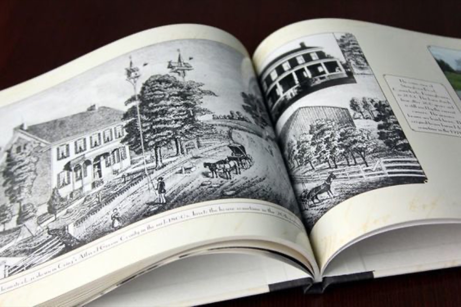 Родословная книга в подарок